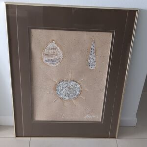 Framed Seashell Artwork with Brown Border